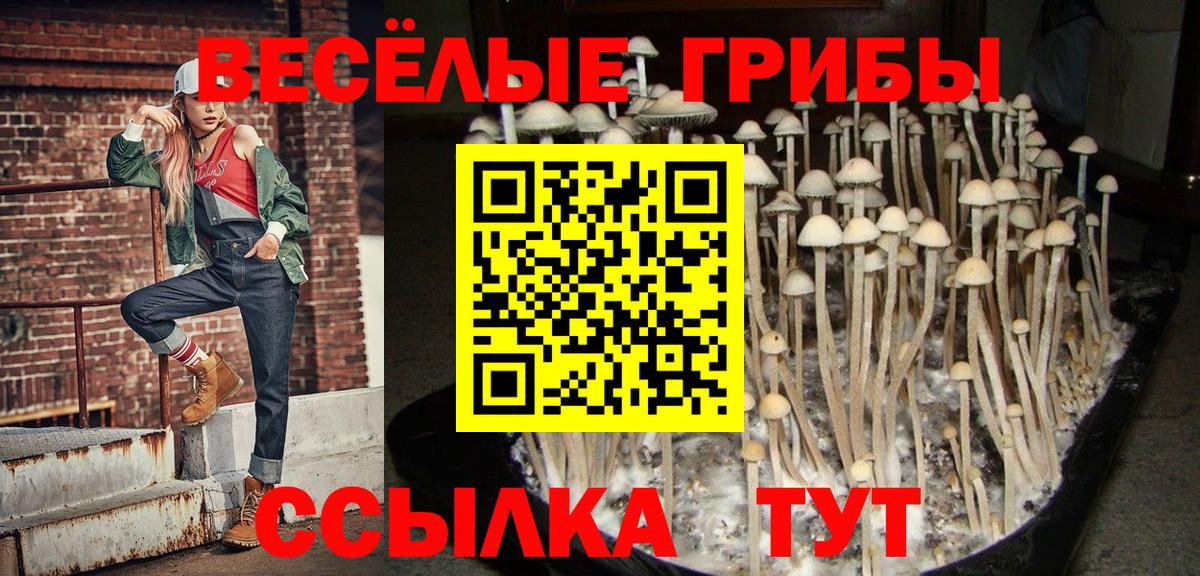 Галлюциногенные грибы мухоморы  Вход с VPN  Благодарный 