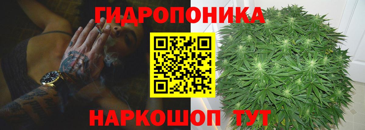 Марихуана MAZAR Благодарный